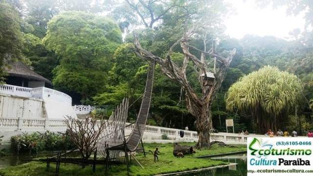 Turismo em João Pessoa: o parque zoo-botânico Bica